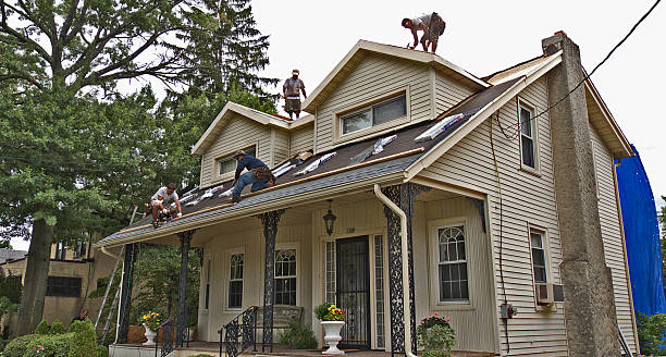 Best Storm Damage Roof Repair  in Frenchtown, MT